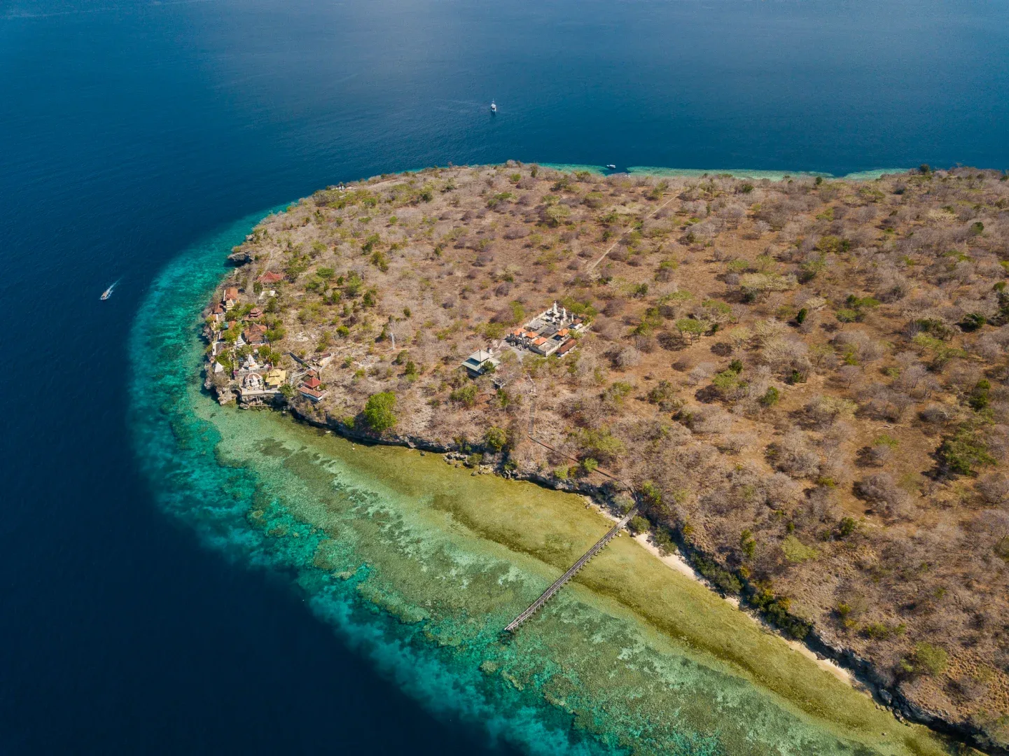 Menjangan Island,How to Get Menjangan Island,Entrance fee to Menjangan Island,Deer Island,Snorkeling Menjangan Tour,Menjangan Bali,Menjangan deer,Mejangan Island snorkeling site,Menjangan Island west bali national park,Boat to Menjangan Island