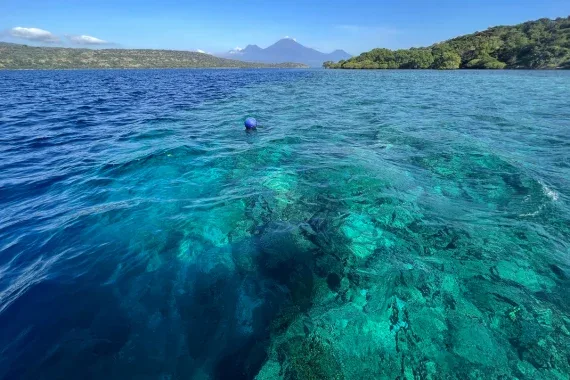 west bali national park,west bali national park tour,west bali national park entrance fee,bali barat national park,West Bali Tour,West Bali Adventure