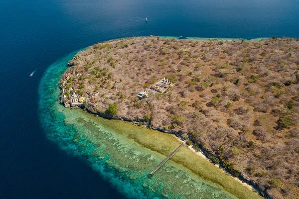 Snorkeling Menjangan Island