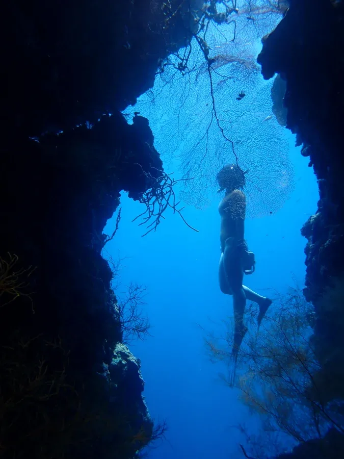 free dive menjangan