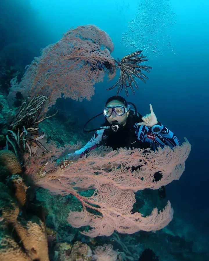 Spot Eel Garden - Menjangan Island